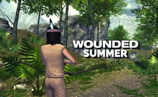 Image Wounded Summer